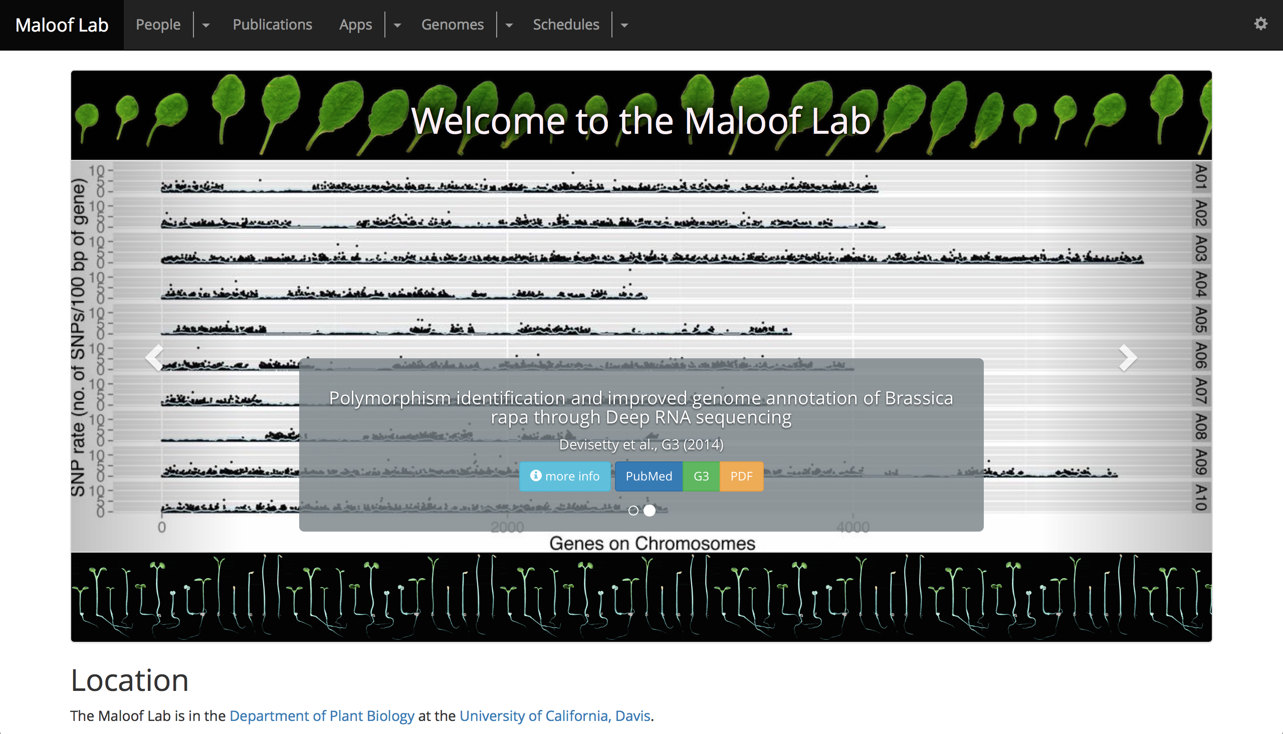 Screenshot of Maloof Lab CMS site