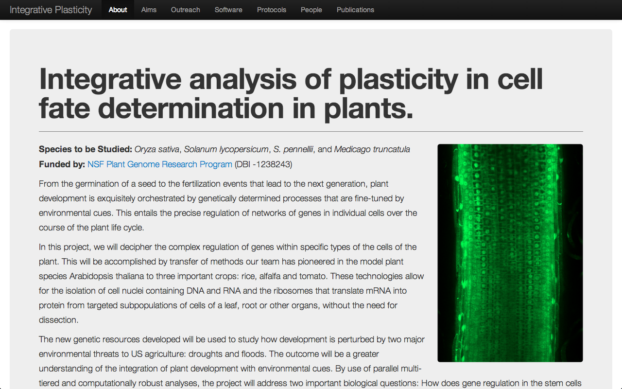Screenshot of Plant Plasticity site